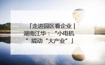 走进园区看企业｜湖南江华：“小电机”撬动“大产业”